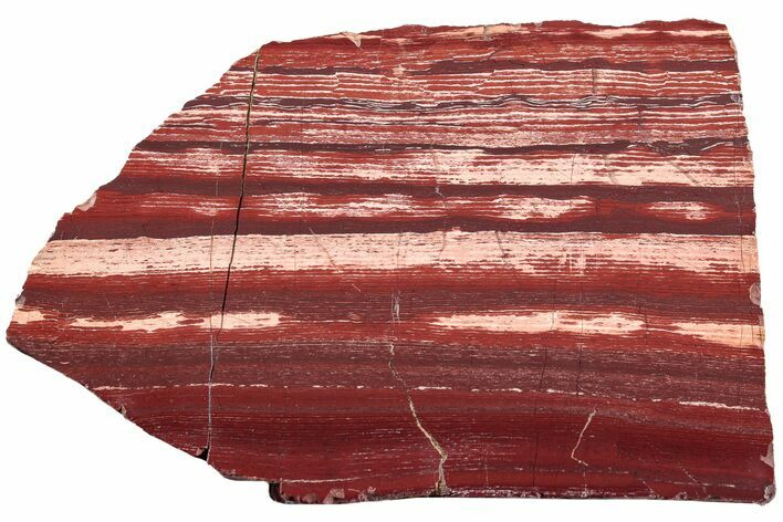 Polished Snakeskin Jasper Slab - Western Australia #221536